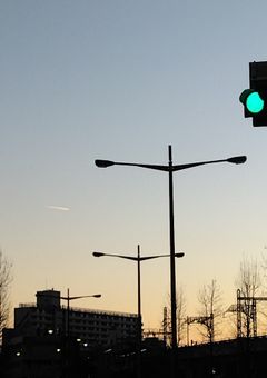 京 都 校 1 年 最 強 で 最 狂 だ っ て さ 。 