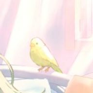 リア 書きたい時に書きますさんのアイコン画像