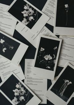 永山吐夢が現実世界にオンラインしました。