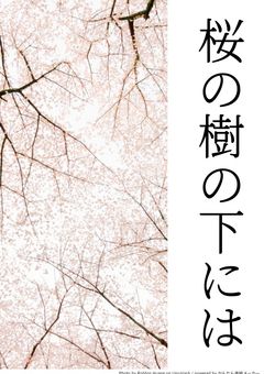 桜の樹の下には