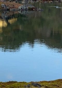 人体改造。ー過去からのメッセージ