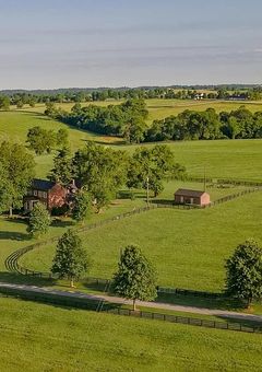 田舎に住む君と(完結)