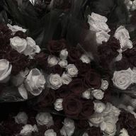 🫶🏻🖤さんのアイコン画像