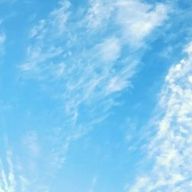 霧さんのアイコン画像