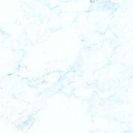 しょっぴーさんのアイコン画像