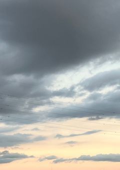 ☔︎  トレプリ日記　【公式】