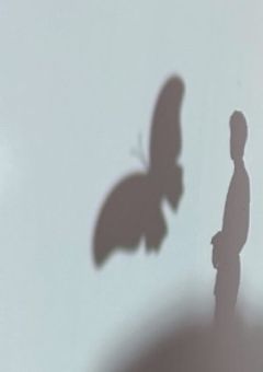 本命は振り向かない?