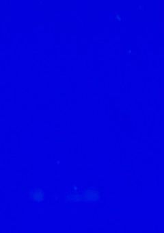 元嫌われライバー、記憶喪失になったようで