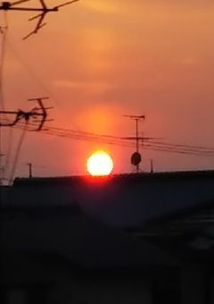 あ〜あ  裏切っちゃったね‪w