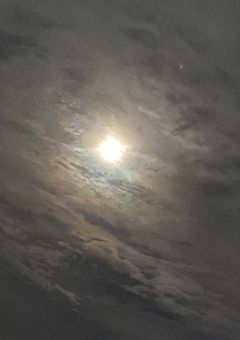 鏡に映る私になりたいの