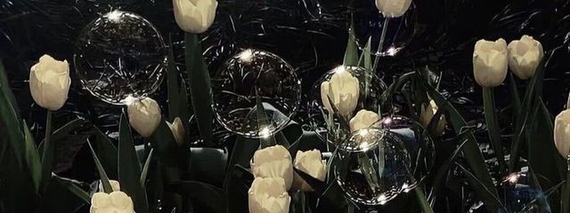 、、。さんの壁紙画像