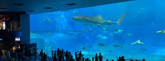 ririさんの壁紙画像