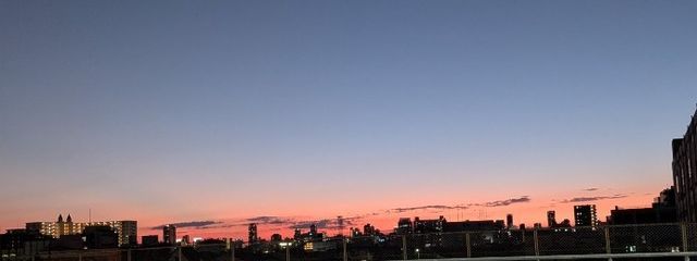 アルル❦こんこんピ〜グミ〜んさんの壁紙画像