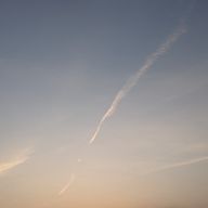 のぞみ🦐さんのアイコン画像