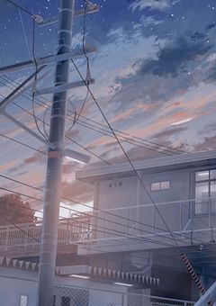 本当の自分探し