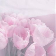 ^..^さんのアイコン画像