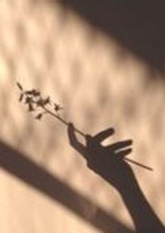 INI JO1 GLAY皆から愛されてます