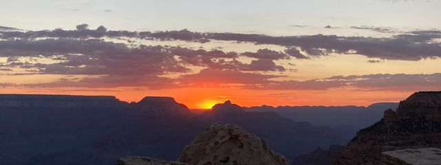 Isla🦎🟡さんの壁紙画像