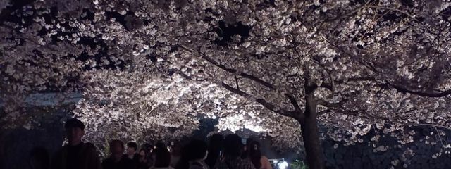 睡魔さんの壁紙画像