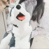 ︎𝒜さんのアイコン画像