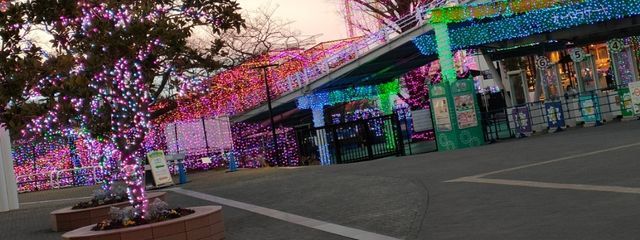 のあ❄️🍏🎤❤️＠さんの壁紙画像