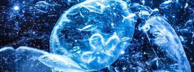 Kanonさんの壁紙画像
