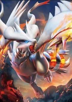 運良く伝説ポケモン手に入れたけど流石に目立つで隠しながらトレーナーやります