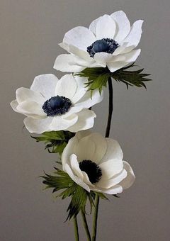 御曹司兼ジャニーズ