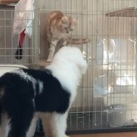 雪菜さんのアイコン画像