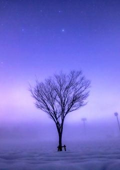 フェアリーテイルの最強魔道士