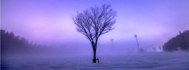 美麗さんの壁紙画像