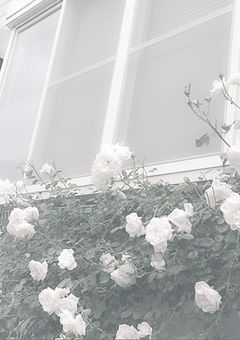 愛されちゃってます。