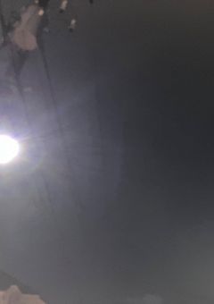 アクアについて　アクアは見ない方がいいよ