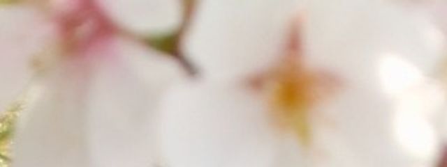 ✤ 酒咲 ✤さんの壁紙画像