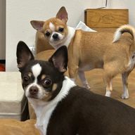 ｉｔｕｋｉさんのアイコン画像