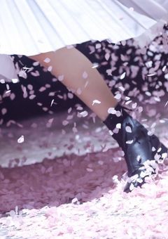 わたしの幸せな結婚