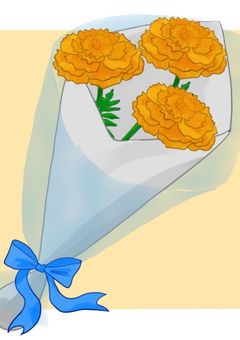 あなたにハナタバを。