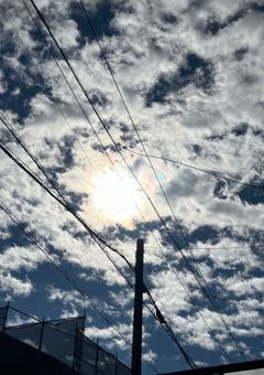 1日の恋