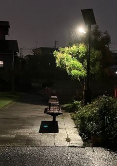 家族が増えちゃった