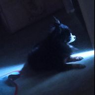 ◍⁠•⁠◍⁠蓮奈◍⁠•⁠⁠◍⁠さんのアイコン画像