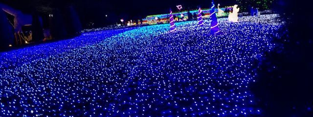 violetさんの壁紙画像
