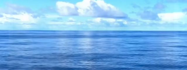 腐の魂@活動永久停止さんの壁紙画像