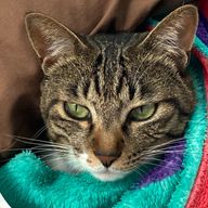 かっちゃん！さんのアイコン画像