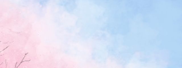 白桜　すいさんの壁紙画像