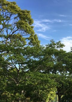 世界ってすごくね？