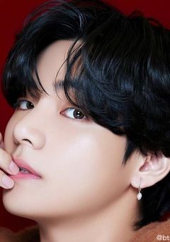 Christmas short story🐻🎄  Perfume