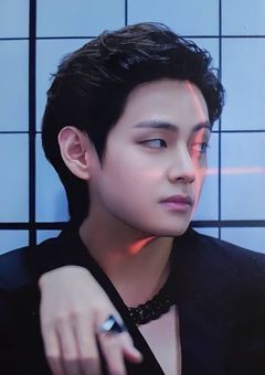 スパイ、子猫を拾う