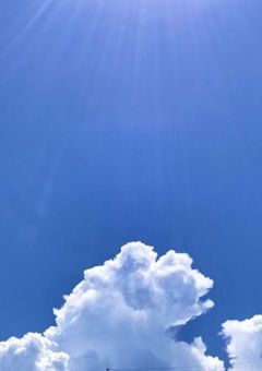 一目惚れの先輩