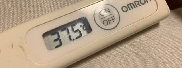 fweriさんの壁紙画像