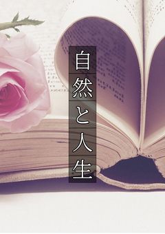 「人生書物店」恋した名探偵は店長に気に入られてます